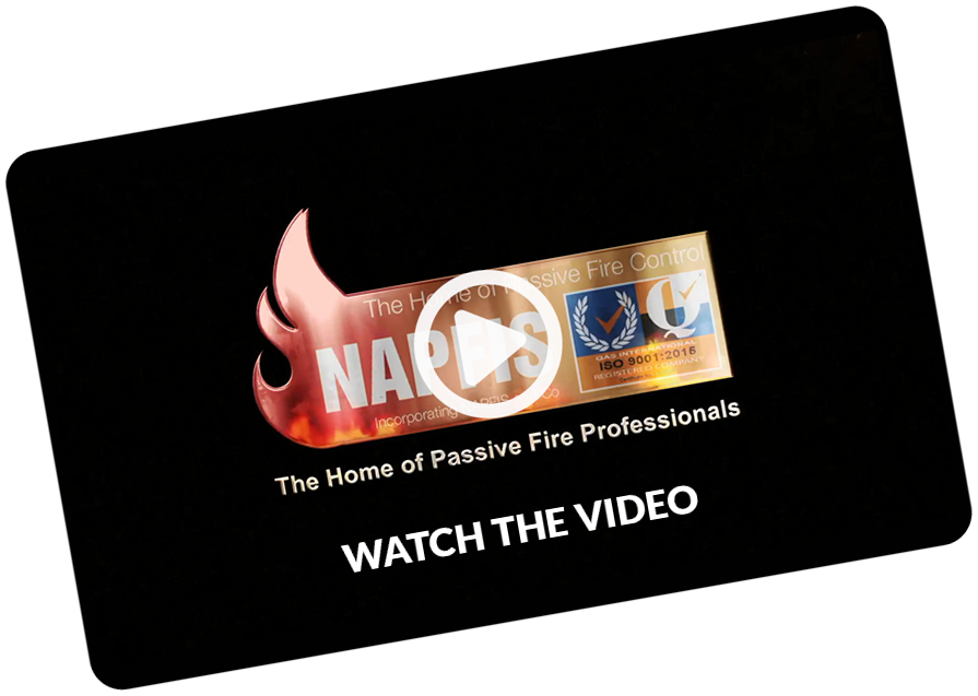 Napfis Video Thumbnail